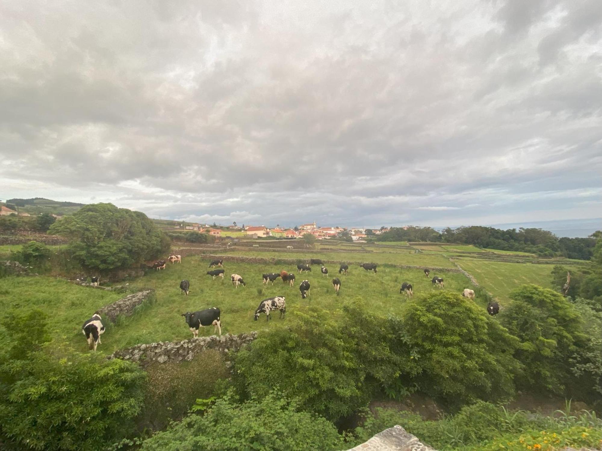 Luzz Me - Casa Das Doze Ribeiras エクステリア 写真