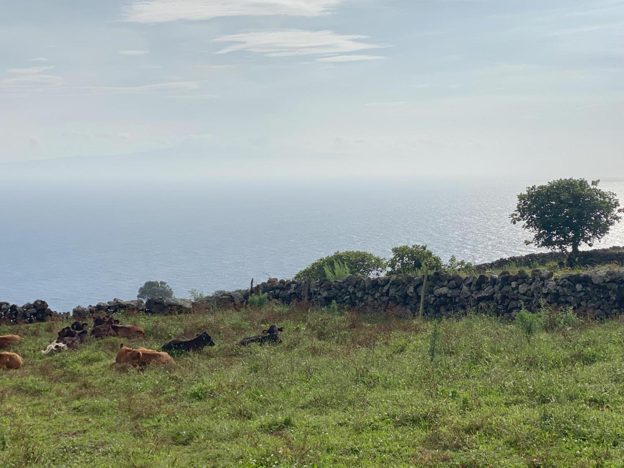 Luzz Me - Casa Das Doze Ribeiras エクステリア 写真